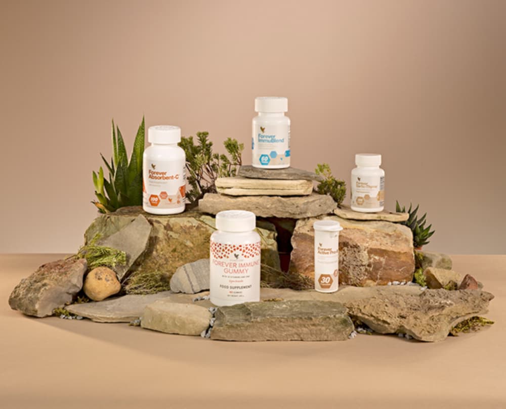 efbffa47 b9e6 421f bb33 2ed98ce190b4